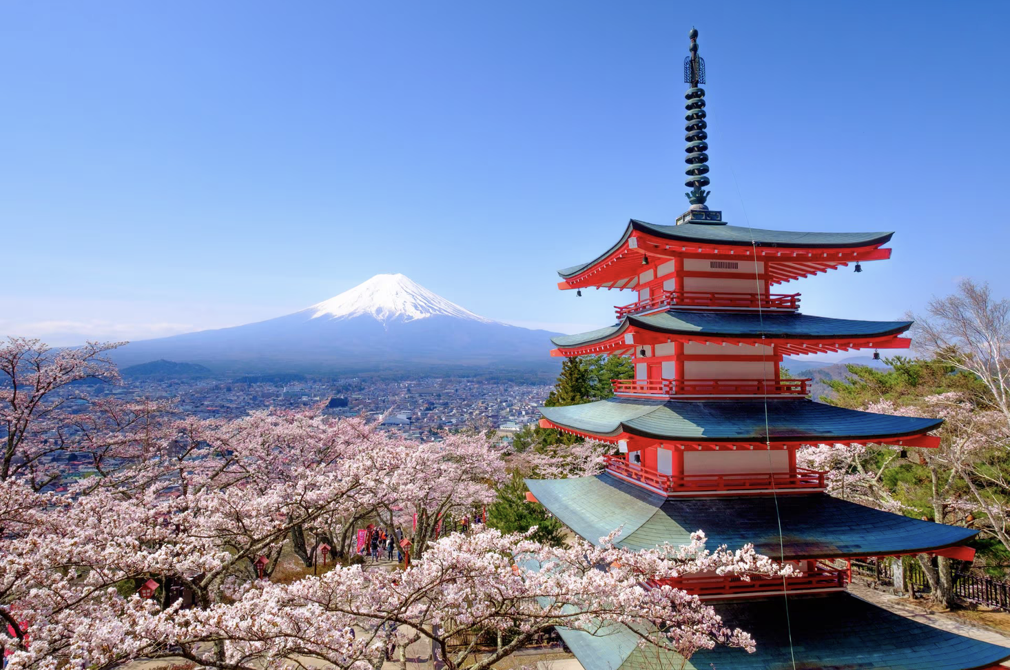 Travel Destination 6